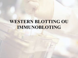 WESTERN BLOTTING OU
IMMUNOBLOTING
 