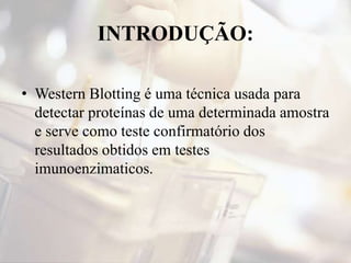 INTRODUÇÃO:
• Western Blotting é uma técnica usada para
detectar proteínas de uma determinada amostra
e serve como teste confirmatório dos
resultados obtidos em testes
imunoenzimaticos.
 