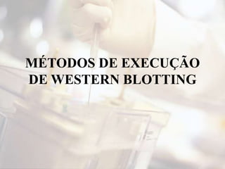 MÉTODOS DE EXECUÇÃO
DE WESTERN BLOTTING
 