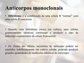 Anticorpos monoclonais
• Hibridoma é a combinação de uma célula B “normal” com
uma célula B cancerosa.
• Quando uma hibridoma cresce em cultura, suas células
geneticamente idênticas continuam a produzir o tipo de
anticorpo característico da célula B ancestral;
• Os clones das células secretoras de anticorpo podem ser
mantidos indefinidamente em cultivo celular, podendo produzir
grandes quantidades de moléculas idênticas de anticorpo;
 