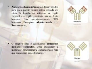 • Anticorpos humanizados são desenvolvidos
para que a porção murina esteja limitada aos
sítios de ligação ao antígeno. A região
variável e a região constante são de fonte
humana. São aproximadamente 90%
humanos. Exemplos: Alemtuzumab e o
Trastuzumab;
• O objetivo final é desenvolver anticorpos
humanos completos. Uma abordagem é
modificar geneticamente camundongos para
que contenham genes humanos.
 