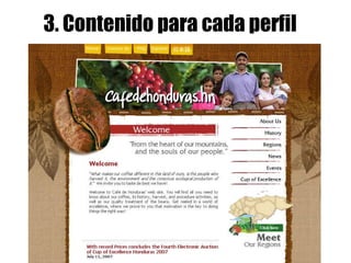 3. Contenido para cada perfil 