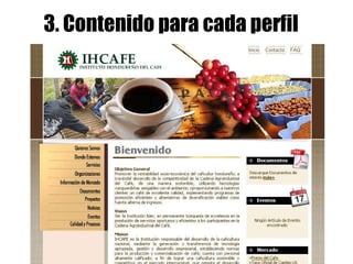 3. Contenido para cada perfil 