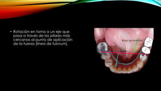 • Rotación en torno a un eje que
pasa a través de los pilares más
cercanos al punto de aplicación
de la fuerza (línea de fulcrum).
Brazo de potencia
Fulcrum
Brazo de resistencia
 