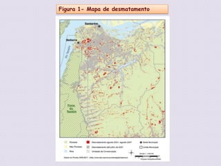 Figura 1- Mapa de desmatamento