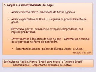 A Cargill e o desenvolvimento da Soja:Maior empresa Norte- americana do Setor agrícolaMaior exportadora no Brasil,   Segunda no processamento de grãos.Estrutura: portos, armazéns e estações compradoras, nas regiões produtoras.Investimentos à logística da soja no país: Construí um terminal de exportação no Porto de Santarém. Exportando: México, países de Europa, Japão, e China.FLEXOR, et al., 2006.Estímulos na Região, Planos “Brasil para todos” e “Avança Brasil”	Contribuição:	Importante expansão do cultivo. 
