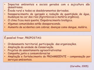 Impactos ambientais e sociais gerados com a sojicultura são desastrosos.Êxodo rural e todos os desdobramentos derivados.Desaparecimento de igarapés e redução da quantidade de água, mudanças na cor dos rios (Agrotóxicos e matéria orgânica).O clima ficou mais quente; Empobrecimento biológico.Algumas comunidades estão desaparecendo.Aumento de acidentes com cobras; doenças como dengue, malária.É possível frear, PROPOSTAS:Ordenamento territorial, participação  das organizações.