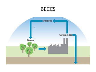 BECCS
 