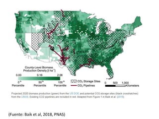 (Fuente: Baik et al, 2018, PNAS)
 