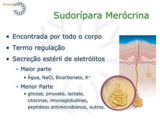 Seminário 01 Parte II: Noções básicas sobre estrutura, bioquímica e ...