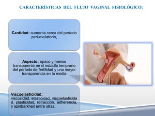 CARACTERÍSTICAS DEL FLUJO VAGINAL FISIOLÓGICO:




Cantidad: aumenta cerca del período
          peri-ovulatorio,




       Aspecto: opaco y menos
 transparente en el estadío temprano
 del período de fertilidad y una mayor
      transparencia en la media




Viscoelasticidad:
viscosidad, elasticidad, viscoelasticida
d, plasticidad, retracción, adherencia,
y spinbarkheit entre otras.
 