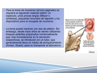  Para la toma de muestras cérvico-vaginales se
  requiere el siguiente material estéril: un
  espéculo, unas pinzas largas (Meyer o
  similares), pequeñas torundas de algodón y los
  dispositivos para la recogida de muestras.

 La toma puede hacerse con asa de platino. Sin
  embargo, desde hace años se vienen utilizando
  hisopos estériles preparados comercialmente
  que, tras humedecerse en la secreción
  sospechosa, se introducen en un tubo, que
  generalmente lleva un medio de enriquecimiento
  (Amies, Stuart), para su transporte al laboratorio.
 