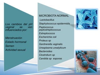 MICROBIOTA NORMAL
                         Lactobacillus
Los cambios del pH       Staphylococcus epidermidis
vaginal     se     ven   Peptococcus
influenciados por:       peptostreptococcus
                         Estreptococos
Menstruación             Escherichia coli
                         Proteus sp
Estado hormonal
                         Gardnerella vaginalis
Semen
                         Ureaplasma urealyticum
Actividad sexual         Bacteroides
                         Clostridium sp
                         Candida sp esporas
 