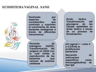 ECOSISTEMA VAGINAL SANO


             Dominado            por
             especies             de   Ácido      láctico    :
             Lactobacillus      que    Transformación      del
             controlan y suprimen      glucógeno      de   las
             el crecimiento de otras   células epiteliales en
             bacterias endógenas a     ácido láctico a través
             través de diferentes      de un proceso de
             mecanismos:               fermentación.



             Peróxido         de       pH vaginal = ~ entre 4
             hidrógeno    (H2O2):      y 4,5.Evita la
             Transformación del        proliferación
             oxígeno en H2O2 con       bacteriana
             lo cual inhibe la
             reproducción de las       Secreción            de
             bacterias       que       anticuerpos
             carecen de enzimas        específicos      como
             catalasas                 Inmunoglobulinas de
                                       tipo IgA
 