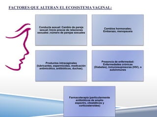 FACTORES QUE ALTERAN EL ECOSISTEMA VAGINAL:



            Conducta sexual: Cambio de pareja
                                                              Cambios hormonales;
             sexual; Inicio precoz de relaciones
                                                             Embarazo, menopausia
           sexuales ;número de parejas sexuales




                                                            Presencia de enfermedad:
                   Productos intravaginales
                                                             Enfermedades crónicas
           (lubricantes, espermicidas, medicación
                                                      (Diabetes), inmunosupresoras (HIV), o
              antimicótica, antibióticos, duchas).
                                                                    autoinmunes




                                    Farmacoterapia (particularmente
                                        antibióticos de amplio
                                        espectro, citostáticos y
                                           corticosteroides)
 