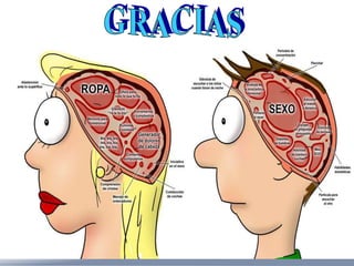 Seminario 02 pap ivaa