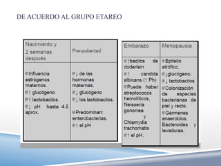 DE ACUERDO AL GRUPO ETAREO
 