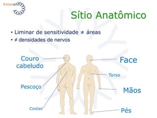 Sítio Anatômico
Couro
cabeludo
Pés
Mãos
Pescoço
Torso
Costas
Face
• Liminar de sensitividade ≠ áreas
• ≠ densidades de nervos
 