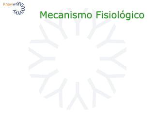 Mecanismo Fisiológico
 