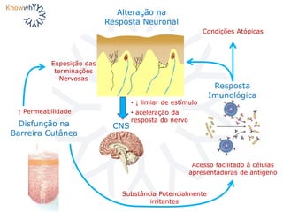 Disfunção na
Barreira Cutânea
Alteração na
Resposta Neuronal
Resposta
Imunológica
Substância Potencialmente
irritantes
• ↓ limiar de estímulo
• aceleração da
resposta do nervo
Exposição das
terminações
Nervosas
CNS
↑ Permeabilidade
Acesso facilitado à células
apresentadoras de antígeno
Condições Atópicas
 