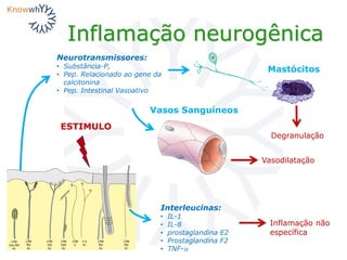 Inflamação neurogênica
ESTIMULO
Neurotransmissores:
• Substância-P,
• Pep. Relacionado ao gene da
calcitonina
• Pep. Intestinal Vasoativo
Vasos Sanguíneos
Vasodilatação
Degranulação
Interleucinas:
• IL-1
• IL-8
• prostaglandina E2
• Prostaglandina F2
• TNF-
Inflamação não
específica
Mastócitos
 