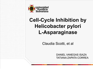 Cell-Cycle Inhibition by Helicobacter pylori L-Asparaginase Claudia Scotti, et al DANIEL VANEGAS ISAZA TATIANA ZAPATA CORREA 