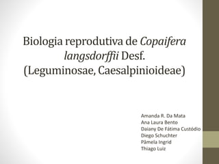 Biologia reprodutiva de Copaifera 
langsdorffii Desf. 
(Leguminosae, Caesalpinioideae) 
Amanda R. Da Mata 
Ana Laura Bento 
Daiany De Fátima Custódio 
Diego Schuchter 
Pâmela Ingrid 
Thiago Luiz 
 