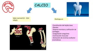 CALCIO
Valor normal 8,5 - 10,4
mEq/L.
-Constitución del tejido óseo
-Dientes
-Sistema nervioso y osificación de
cartílagos
-Coagulación sanguínea
-Contracción muscular
-Activación de enzimas (cofactor
enzimático).
Participa en
 
