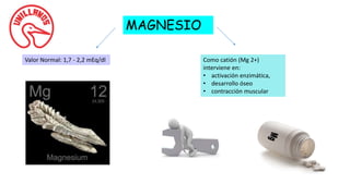 MAGNESIO
Valor Normal: 1,7 - 2,2 mEq/dl Como catión (Mg 2+)
interviene en:
• activación enzimática,
• desarrollo óseo
• contracción muscular
 