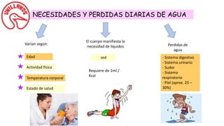 NECESIDADES Y PERDIDAS DIARIAS DE AGUA
Varían según:
Edad
Actividad física
Temperatura corporal
Estado de salud
El cuerpo manifiesta la
necesidad de líquidos
sed
Requiere de 1ml /
Kcal
Perdidas de
agua
- Sistema digestivo
- Sistema urinario
- Sudor
- Sistema
respiratorio
- Piel (aprox. 25 –
30%)
 