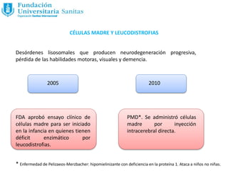 CÉLULAS MADRE Y LEUCODISTROFIAS
Desórdenes lisosomales que producen neurodegeneración progresiva,
pérdida de las habilidades motoras, visuales y demencia.
2005
FDA aprobó ensayo clínico de
células madre para ser iniciado
en la infancia en quienes tienen
déficit enzimático por
leucodistrofias.
2010
PMD*. Se administró células
madre por inyección
intracerebral directa.
* Enfermedad de Pelizaeos-Merzbacher: hipomielinizante con deficiencia en la proteína 1. Ataca a niños no niñas.
 