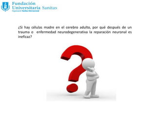 ¿Si hay células madre en el cerebro adulto, por qué después de un
trauma o enfermedad neurodegenerativa la reparación neuronal es
ineficaz?
 