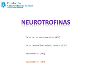 Factor de crecimiento nervioso (NGF)
Factor neurotrófico derivado cerebral (BDNF)
Neurotrofina 3 (NT3)
Neurotrofina 4 (NT4)
 