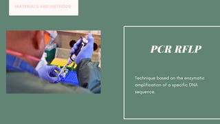 Technique based on the enzymatic
amplification of a specific DNA
sequence.
PCR RFLP
MATERIALS AND METHODS
 