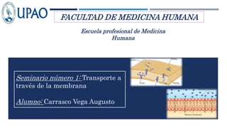 FACULTAD DE MEDICINA HUMANA
Escuela profesional de Medicina
Humana
Seminario número 1: Transporte a
través de la membrana
Alumno: Carrasco Vega Augusto
 