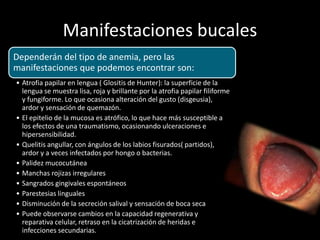 Manifestaciones bucales
Dependerán del tipo de anemia, pero las
manifestaciones que podemos encontrar son:
• Atrofia papilar en lengua ( Glositis de Hunter): la superficie de la
lengua se muestra lisa, roja y brillante por la atrofia papilar filiforme
y fungiforme. Lo que ocasiona alteración del gusto (disgeusia),
ardor y sensación de quemazón.
• El epitelio de la mucosa es atrófico, lo que hace más susceptible a
los efectos de una traumatismo, ocasionando ulceraciones e
hipersensibilidad.
• Quelitis angullar, con ángulos de los labios fisurados( partidos),
ardor y a veces infectados por hongo o bacterias.
• Palidez mucocutánea
• Manchas rojizas irregulares
• Sangrados gingivales espontáneos
• Parestesias linguales
• Disminución de la secreción salival y sensación de boca seca
• Puede observarse cambios en la capacidad regenerativa y
reparativa celular, retraso en la cicatrización de heridas e
infecciones secundarias.
 