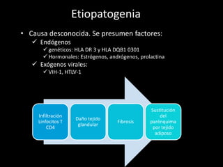 Etiopatogenia
• Causa desconocida. Se presumen factores:
 Endógenos
 genéticos: HLA DR 3 y HLA DQB1 0301
 Hormonales: Estrógenos, andrógenos, prolactina
 Exógenos virales:
 VIH-1, HTLV-1
Infiltración
Linfocitos T
CD4
Daño tejido
glandular
Fibrosis
Sustitución
del
parénquima
por tejido
adiposo
 
