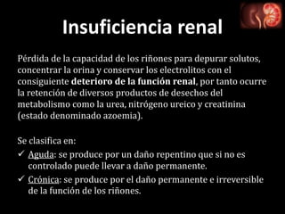 Insuficiencia renal
Pérdida de la capacidad de los riñones para depurar solutos,
concentrar la orina y conservar los electrolitos con el
consiguiente deterioro de la función renal, por tanto ocurre
la retención de diversos productos de desechos del
metabolismo como la urea, nitrógeno ureico y creatinina
(estado denominado azoemia).
Se clasifica en:
 Aguda: se produce por un daño repentino que si no es
controlado puede llevar a daño permanente.
 Crónica: se produce por el daño permanente e irreversible
de la función de los riñones.
 