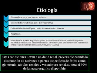 Etiología
• Glomerulopatías primarias o secundarias.
•Enfermedades metabólicas, como diabetes mellitus.
•Enfermedades inmunológicas, como Lupus eritematoso sistémico.
• Neoplasias.
• Hipertensión Arterial. El paciente puede no manifestar síntomas, siendo sólo posible
detectar anormalidades en los exámenes de laboratorio, con una disminución en la tasa de
filtración glomerular. (normal:90a120mL/min/1.73m2)
Estas condiciones llevan a un daño renal irreversible cuando la
destrucción de nefrones o partes específicas de éstos, como
glomérulo, túbulos renales y vasculatura renal, supera el 80%
de la masa orgánica disponible.
 