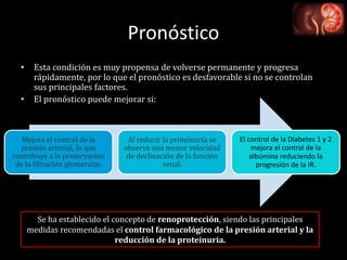• Esta condición es muy propensa de volverse permanente y progresa
rápidamente, por lo que el pronóstico es desfavorable si no se controlan
sus principales factores.
• El pronóstico puede mejorar si:
Pronóstico
Mejora el control de la
presión arterial, lo que
contribuye a la preservación
de la filtración glomerular.
Al reducir la proteinuria se
observa una menor velocidad
de declinación de la función
renal.
El control de la Diabetes 1 y 2
mejora el control de la
albúmina reduciendo la
progresión de la IR.
Se ha establecido el concepto de renoprotección, siendo las principales
medidas recomendadas el control farmacológico de la presión arterial y la
reducción de la proteinuria.
 