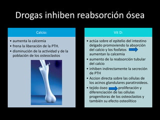 Drogas inhiben reabsorción ósea
Calcio:
• aumenta la calcemia
• frena la liberación de la PTH.
• disminución de la actividad y de la
población de los osteoclastos
Vit D:
• actúa sobre el epitelio del intestino
delgado promoviendo la absorción
del calcio y los fosfatos
aumentan la calcemia
• aumento de la reabsorción tubular
del calcio
• inhiben indirectamente la secreción
de PTH
• Accion directa sobre las células de
los acinos glandulares paratiroideos.
• tejido óseo proliferación y
diferenciación de las células
progenitoras de los osteoclastos y
también su efecto osteolítico
 