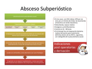 Absceso Subperióstico
En general, no se requiere hospitalización, a menos que exista
enfermedad de base (diabetes descompensada, inmunosupresión).
Lavado con clorhexidina, como alternativa usar suero fisiológico.
Si no existe drenaje dichas vías, se procede al drenaje quirúrgico y
desbridamiento a través del mucoperiostio hasta el hueso.
El drenaje de la colección purulenta se realiza por el conducto del
diente o por el alvéolo en caso de extracción.
Trepanación v/s Extracción; evaluar:
valor estratégico de la
pieza en la arcada
preferencias del
paciente
consideraciones
económicas
severidad de la
infección
riesgo de compromiso
general
Identificación de la pieza dentaria causal.
• En los casos con CEG indicar; ATB por vía
oral, por un mínimo de 6 días. Se recomienda
amoxicilina con ácido clavulánico.
• Dieta blanda, reposo relativo
• Analgesia y antiinflamatorios.
• Control en 24 - 48 horas.
• Si el drenaje fue vía trepanación dentaria,
realizar derivación para tratamiento
definitivo dentro de las 48 hrs. siguientes,
con radiografía de la pieza dentaria causal.
Indicaciones
post operatorias
y derivación
 