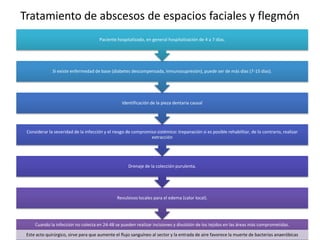 Tratamiento de abscesos de espacios faciales y flegmón
Cuando la infección no colecta en 24-48 se pueden realizar incisiones y divulsión de los tejidos en las áreas más comprometidas.
Este acto quirúrgico, sirve para que aumente el flujo sanguíneo al sector y la entrada de aire favorece la muerte de bacterias anaeróbicas
Revulsivos locales para el edema (calor local).
Drenaje de la colección purulenta.
Considerar la severidad de la infección y el riesgo de compromiso sistémico: trepanación si es posible rehabilitar, de lo contrario, realizar
extracción
Identificación de la pieza dentaria causal
Si existe enfermedad de base (diabetes descompensada, inmunosupresión), puede ser de más días (7-15 días).
Paciente hospitalizado, en general hospitalización de 4 a 7 días.
 