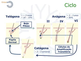 Anágena
II IV VI
Ciclo
Telógena
Papila
Dermal
Bojo
Piloso
Células de
Amplificação
Transitória
Catágena
• 2 – 3 anos
• 85%
• ~ 3 mese
• 10 – 15%
• 2 – 3 semanas
 