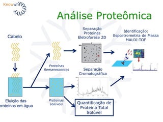 Análise Proteômica
Cabelo
Eluição das
proteínas em água
Quantificação de
Proteína Total
Solúvel
Identificação:
Espcetrometria de Massa
MALDI-TOF
Separação
Proteínas
Eletroforese 2D
Separação
Cromatográfica
Proteínas
solúveis
Proteínas
Remanescentes
 