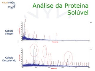 Análise da Proteína
Solúvel
Cabelo
Virgem
Cabelo
Descolorido
 