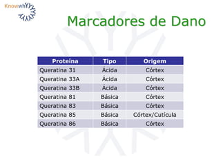 Marcadores de Dano
Proteína Tipo Origem
Queratina 31 Ácida Córtex
Queratina 33A Ácida Córtex
Queratina 33B Ácida Córtex
Queratina 81 Básica Córtex
Queratina 83 Básica Córtex
Queratina 85 Básica Córtex/Cutícula
Queratina 86 Básica Córtex
 