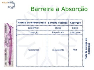 Barreira a Absorção
Epidermal
Transição
Tricolemal
Padrão de diferenciação
Eficaz
Barreira cutânea
Prejudicada
Inexistente
Absorção
Baixa
Crescente
Alta
Rotadeentregade
moléculas
 