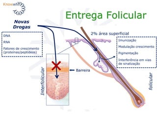 folicular
Entrega Folicular
DNA
RNA
Fatores de crescimento
(proteínas/peptídeos)
Barreira
Novas
Drogas
Interfolicular
2% área superficial
Imunização
Modulação crescimento
Pigmentação
Interferência em vias
de sinalização
 
