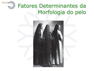 Fatores Determinantes da
Morfologia do pelo
 